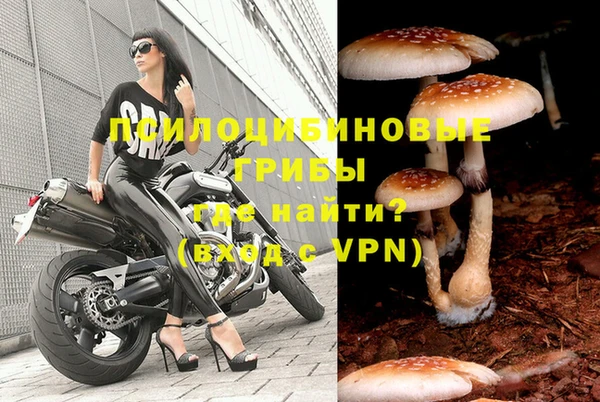 мяу мяу мука Нязепетровск